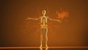 Detailed portrait of the Bernstein degrees of freedom in movement, showcasing the complexity and adaptability of the human motor system. A dynamic figure stands in the foreground, limbs flowing in graceful, interconnected motion. The middle ground features a wireframe skeletal model, highlighting the various joints and degrees of freedom involved. In the background, a neural network visualization pulses with activity, representing the intricate neurological processes governing movement. Warm, natural lighting casts a contemplative mood, emphasizing the beauty and intricacy of this fundamental motor learning principle. Rendered in a realistic, scientific illustration style.