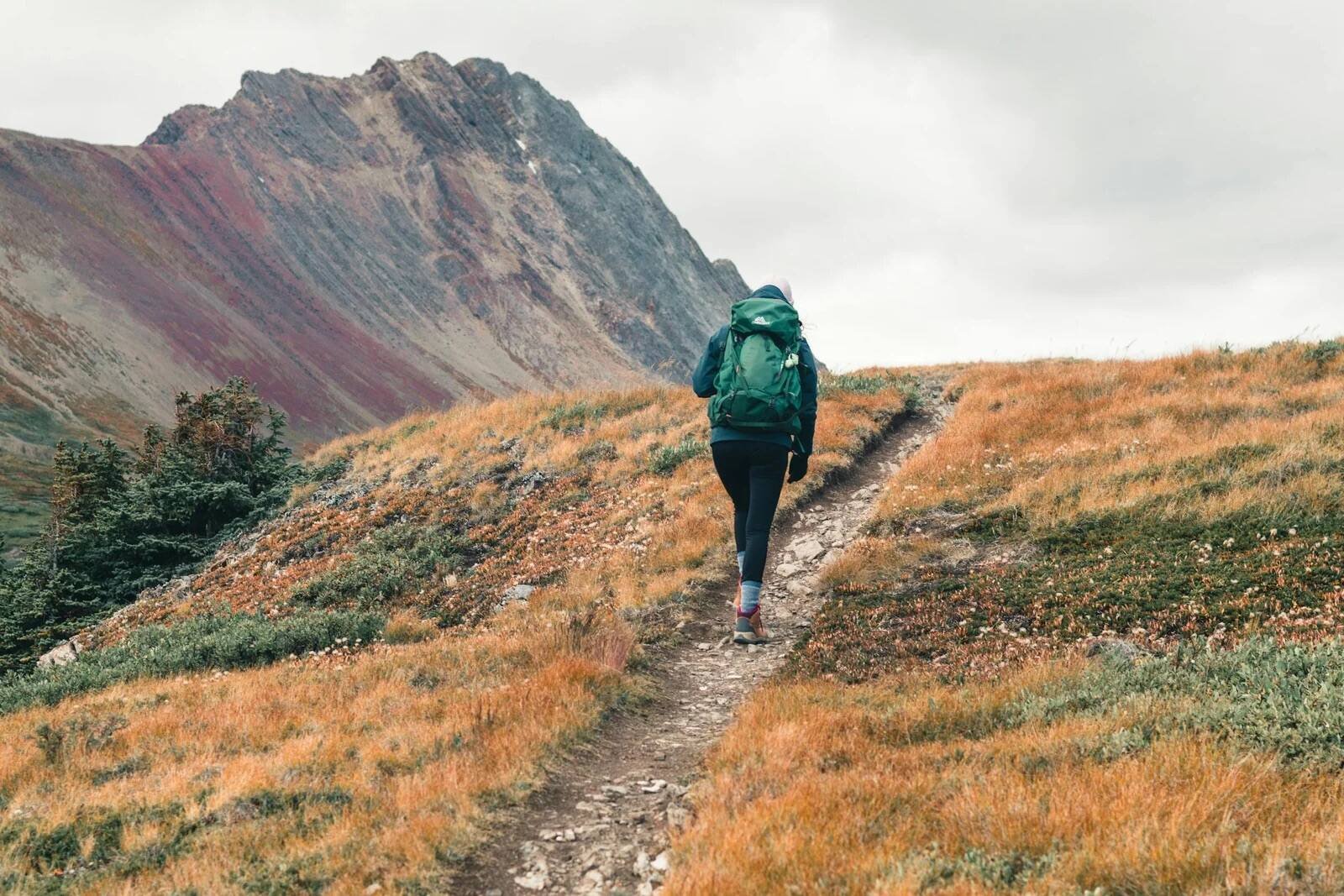 hiking preparation exercises